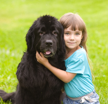 https://www.ben-zaken.co.il/wp-content/uploads/2013/05/KID_DOG.jpg